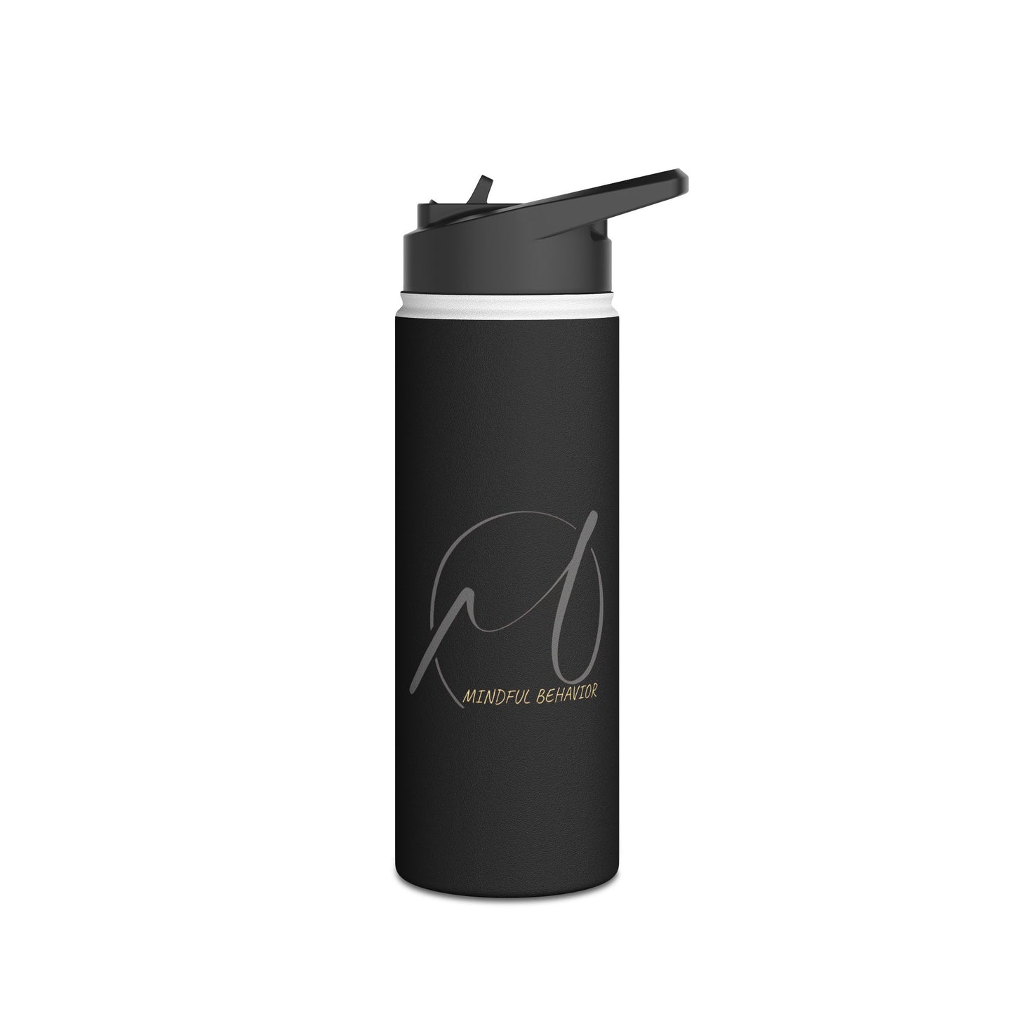 Mindful Behavior Stainless Steel Water Bottle, Standard Lid